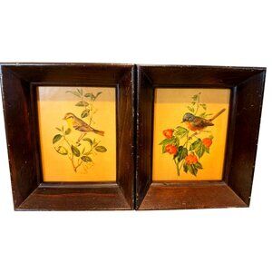 Vintage Wooden Framed Bird Art Prints - Pair Of Botanical Illustrations With Yel